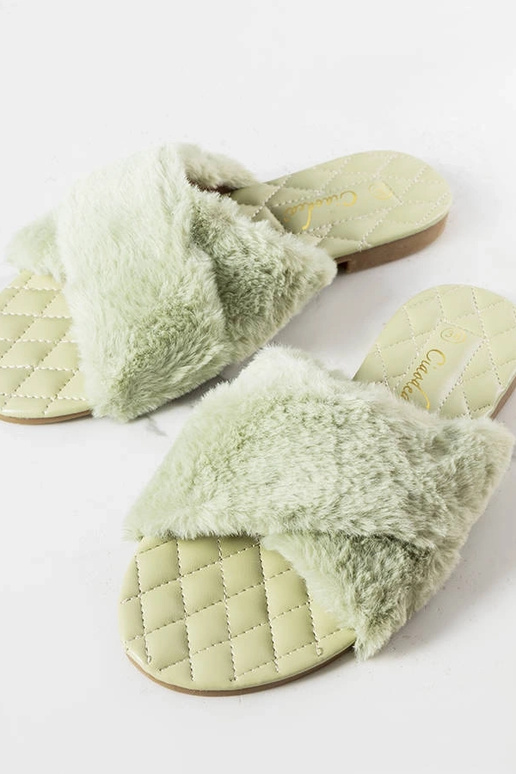 Chinelos verdes com pelo Karsyn