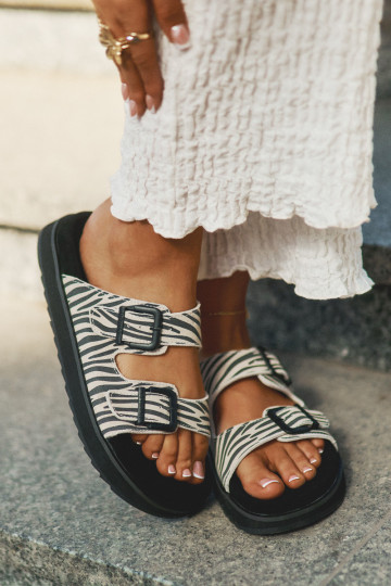 Chinelos femininos de camurça com fivelas D.Franklin DFSH405002 Zebra