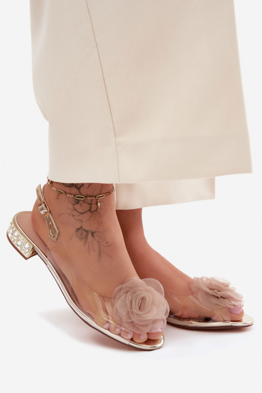 Sandálias transparentes femininas com rosa D&A MR61-9003 douradas