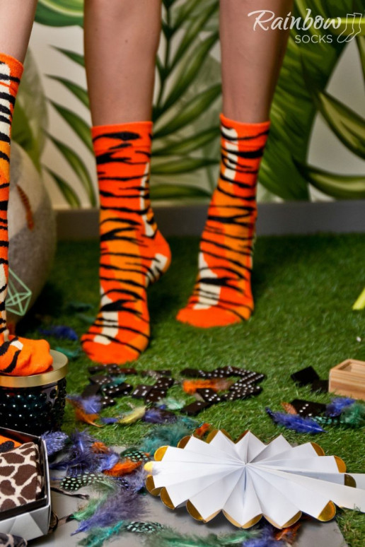 Meias coloridas em caixa com motivos de animais selvagens, 3 pares