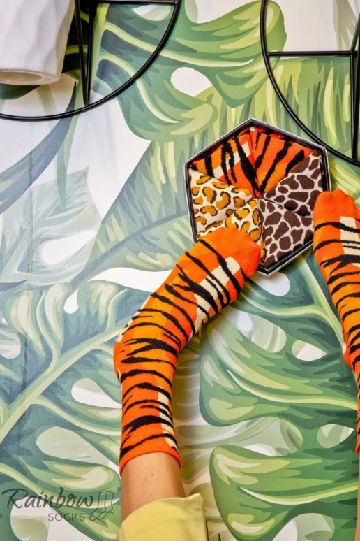 Meias coloridas em caixa com motivos de animais selvagens, 3 pares
