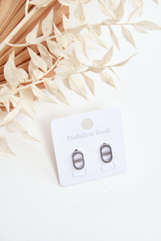 Brincos ovais na cor prata