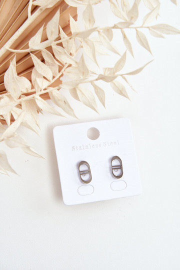 Brincos ovais na cor prata 2